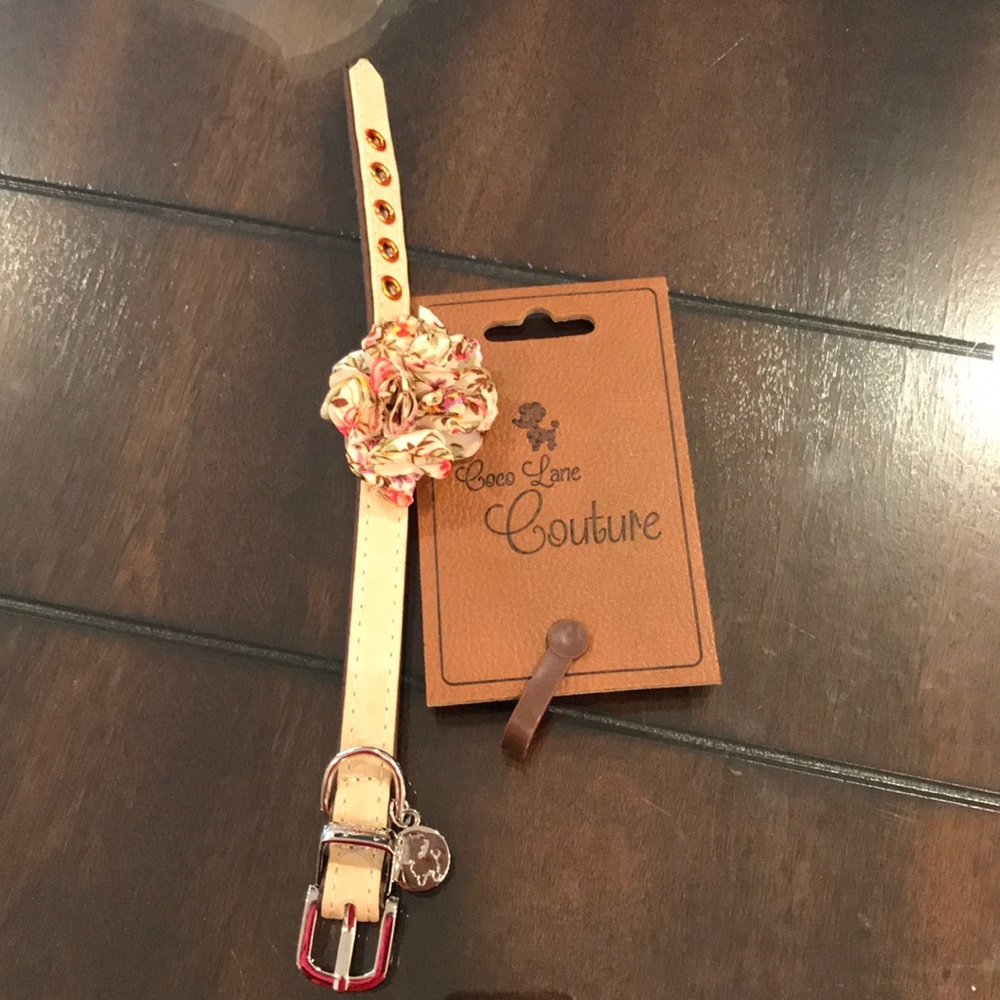Adorable coco lane dog collar.